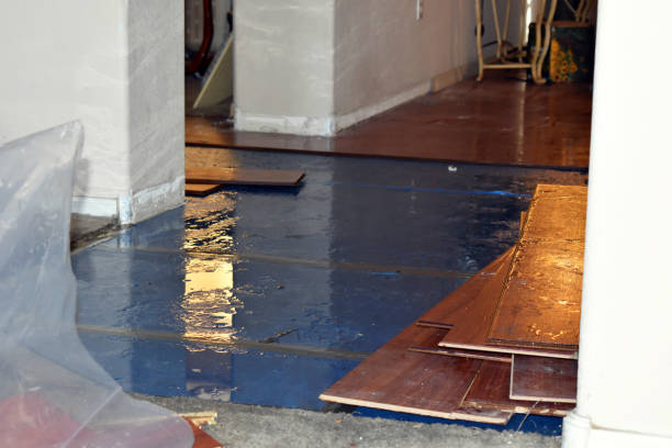 Professional Basement Flood Cleanup technician working in Sparta, MO